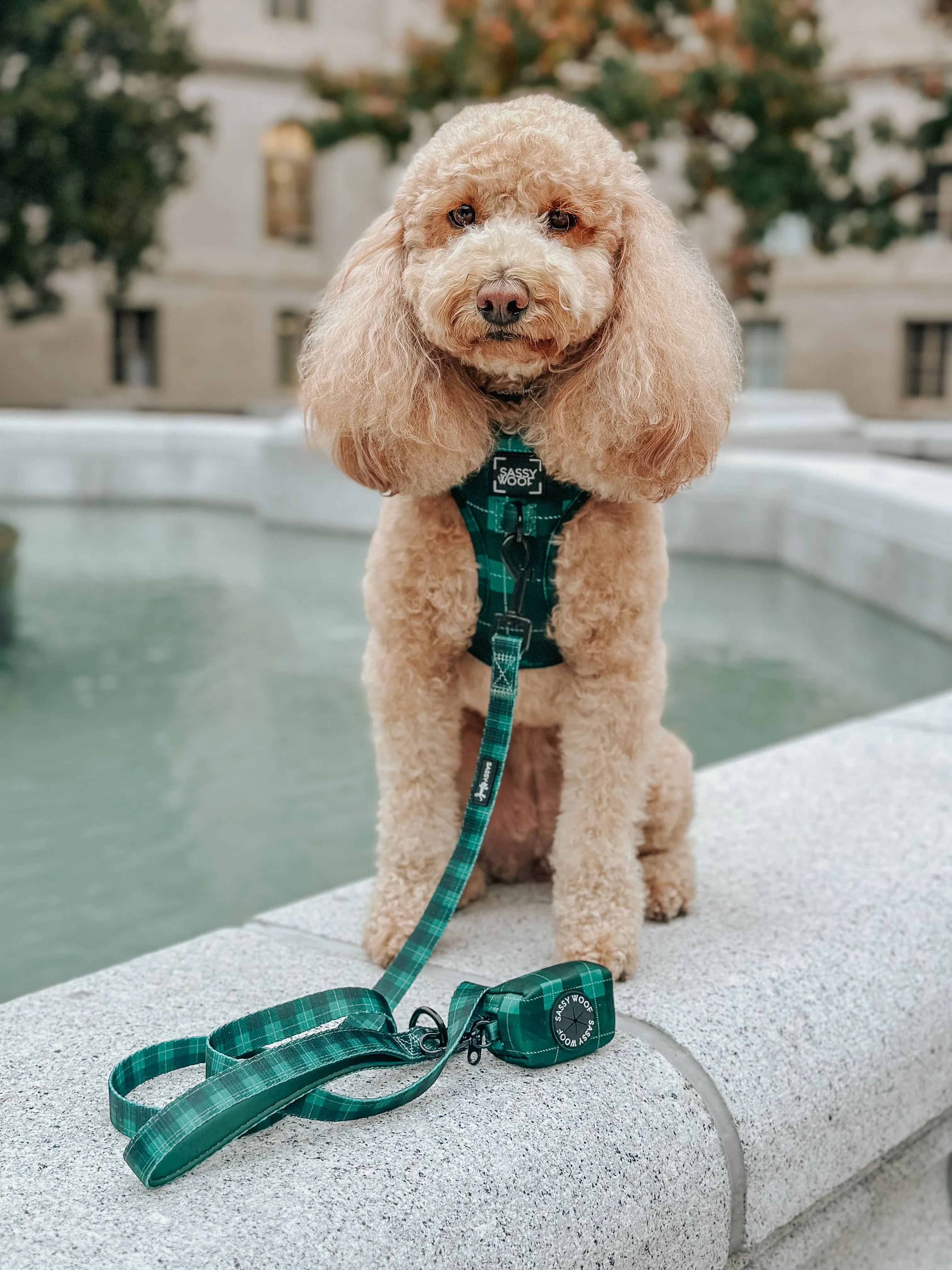 Dog Waste Bag Holder - Barks of Holly