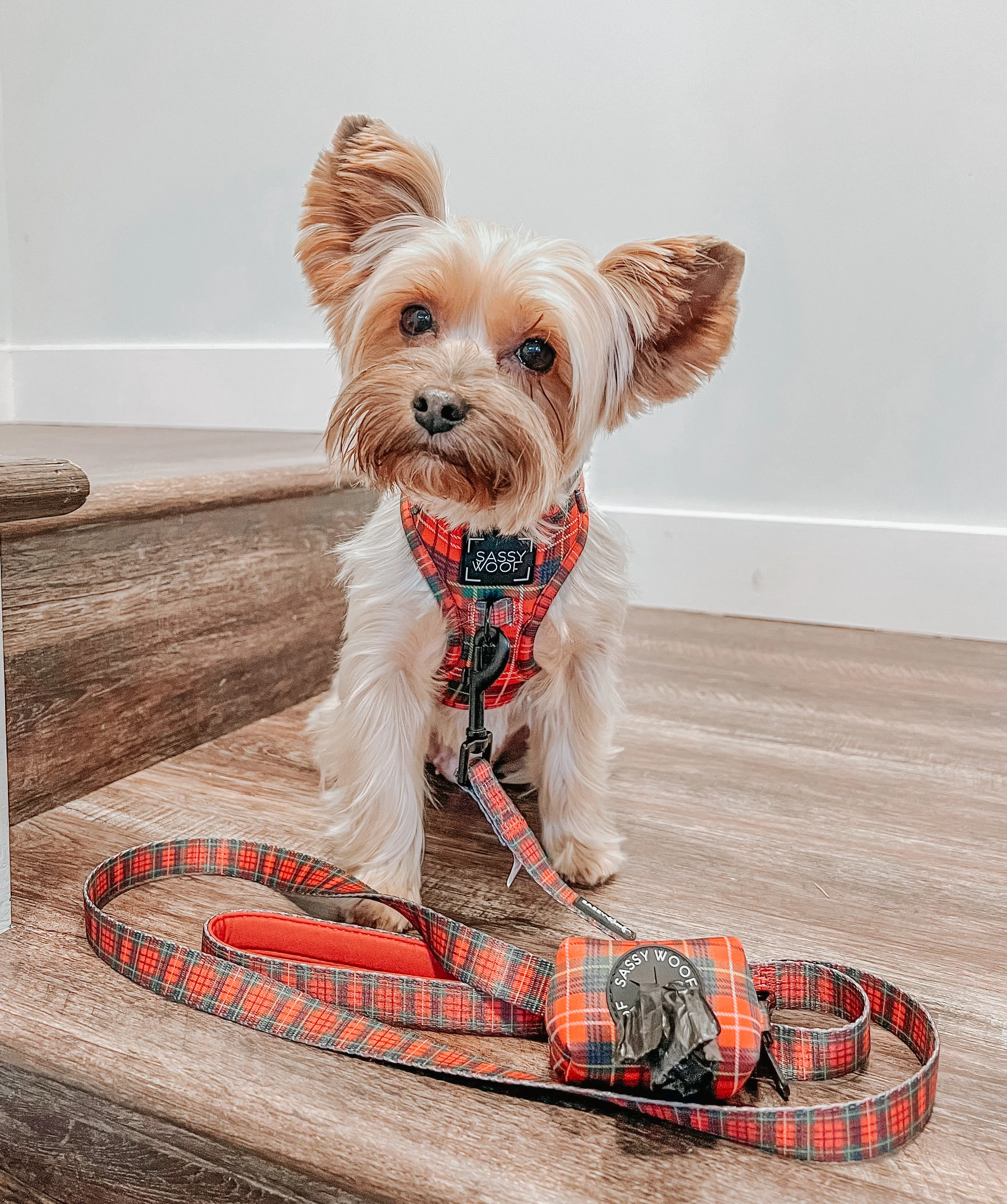 Dog Waste Bag Holder - Deck the Paws