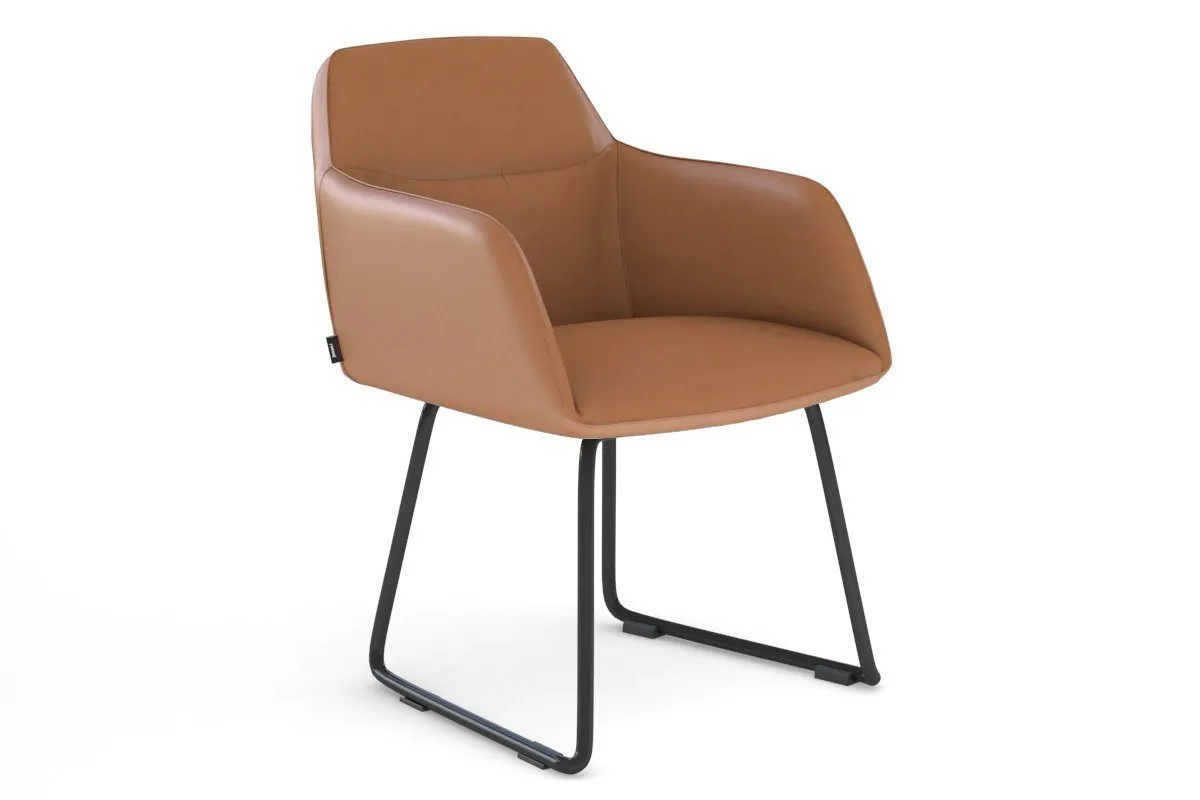 Mcduck Arm Chair - Black Sled Base