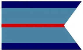 RAF Air Commodore