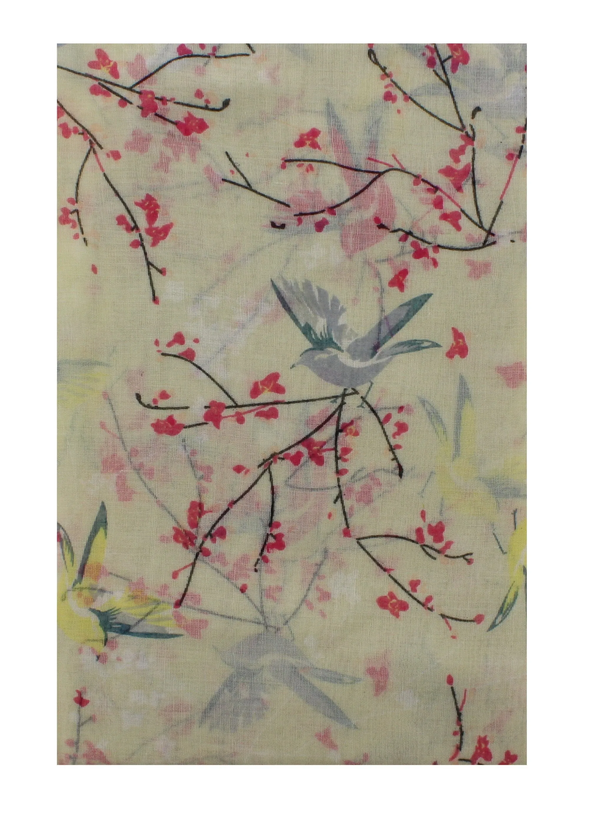 Robin & Branches Print on Coloured Scarf