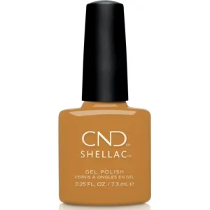 Shellac Candlelight