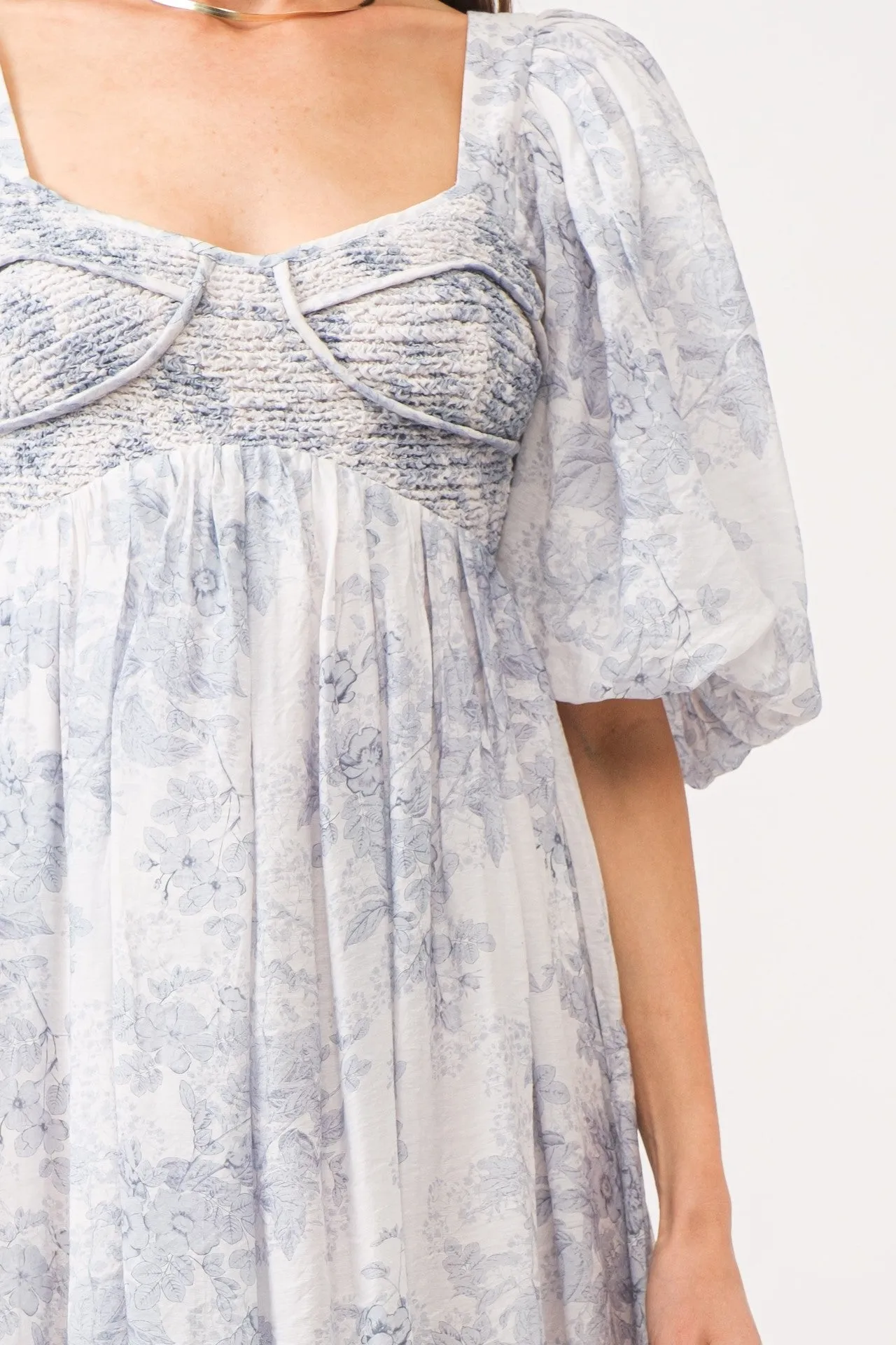 Sky Blue Toile Midi Dress